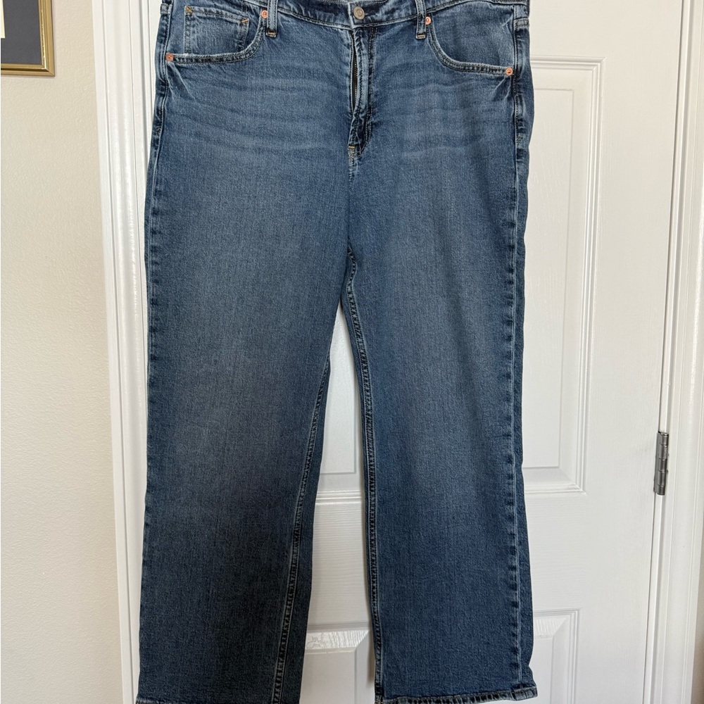 Gap Loose Fit Mid Rise 32/14 Reg EUC